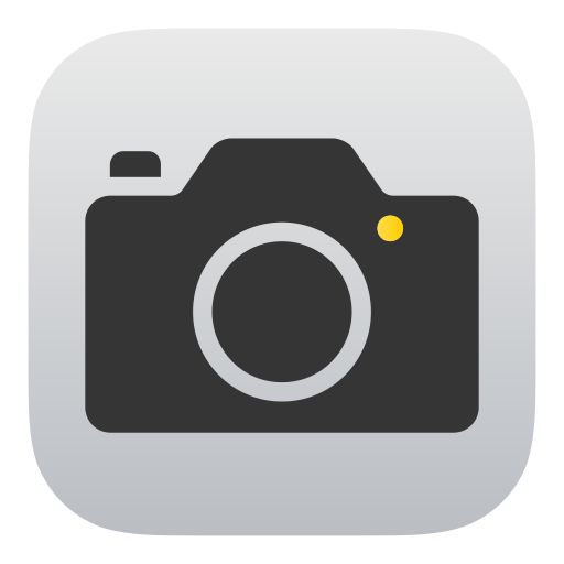Photo Analysis Icon